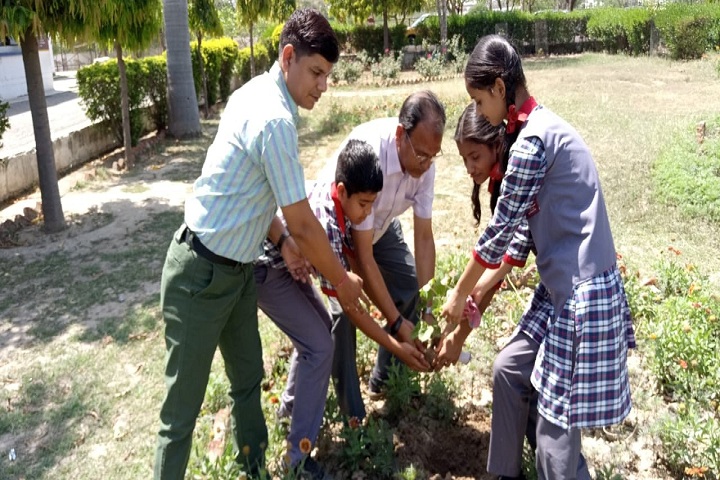 Kendriya Vidyalaya No