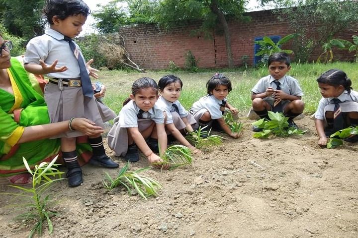 Kg Children School-Tree Plantation