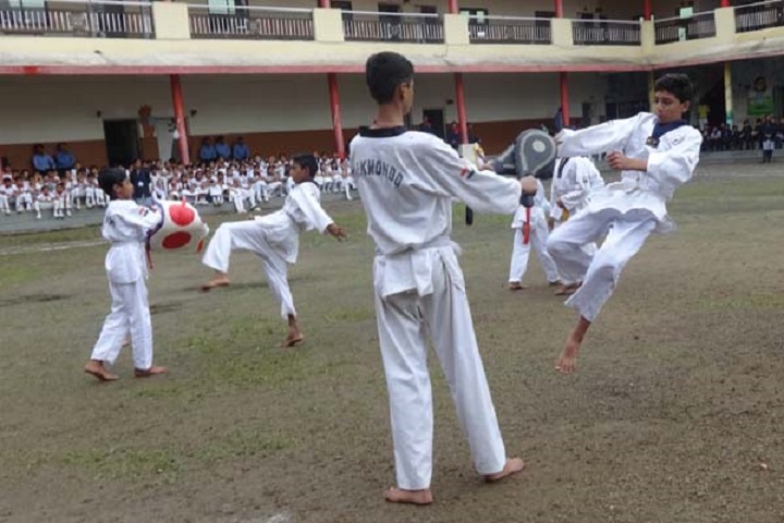 Krishna Academy-Karate