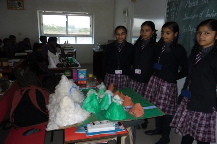 Lotus International School-School Fair