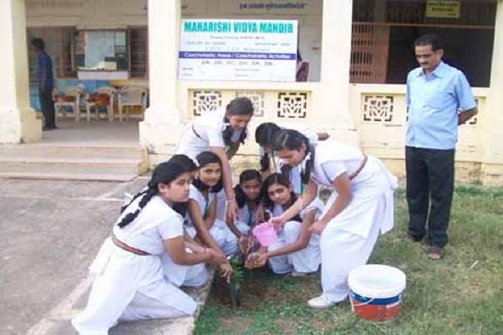 Maharishi Vidya Mandir-Others plantation