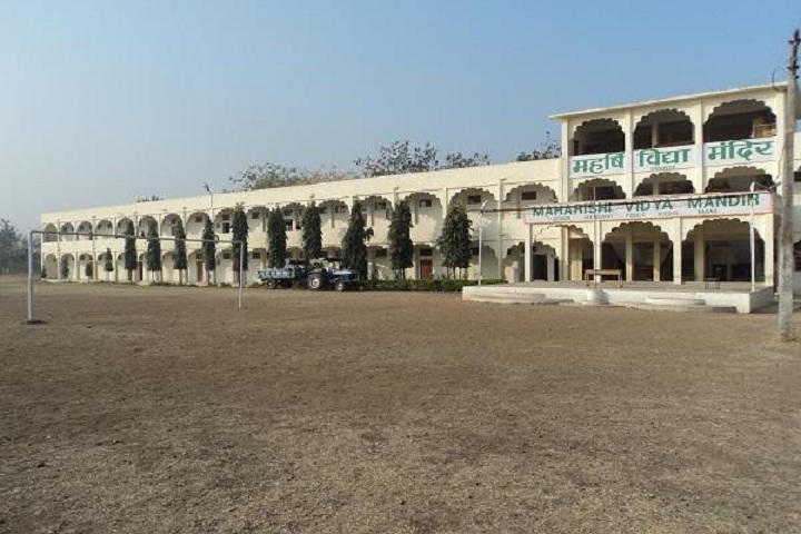 Maharishi Vidya Mandir-Sports playground