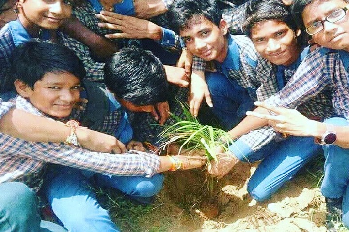 Modern Convent School-Tree Plantation