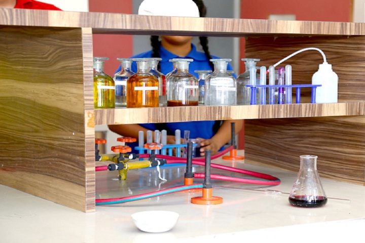 Mount Litera Zee School-Laboratory chemistry