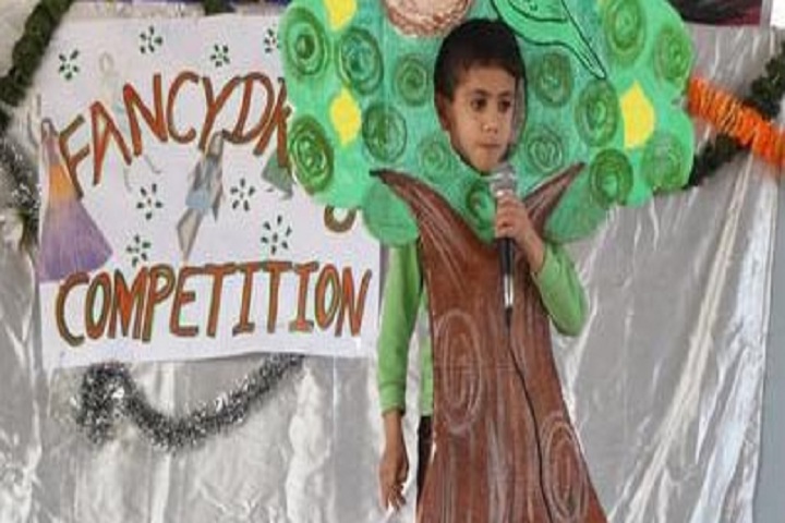 New Age Public School-Fancy Dress
