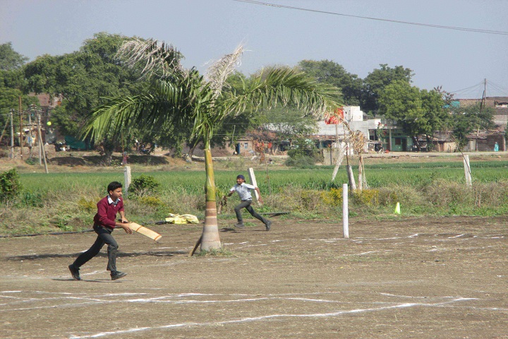 Nimar Cambridge Public High School Dhamnod-Sports cricket