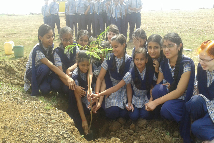 Noble Public School-Tree Plantation