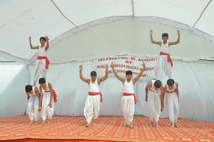 Pandit Narmada Prasad Memorial Public School-Dancing