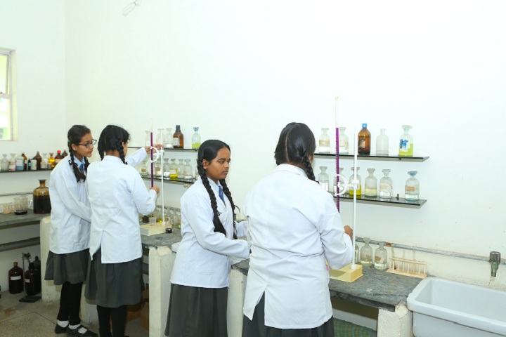 Paras Vidya Vihar-Chemistry Lab