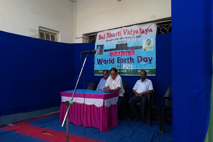 Bal Bharti Vidyalaya-Others world earth day