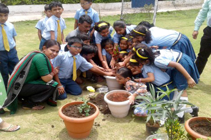 Podar International School-Tree Plantation