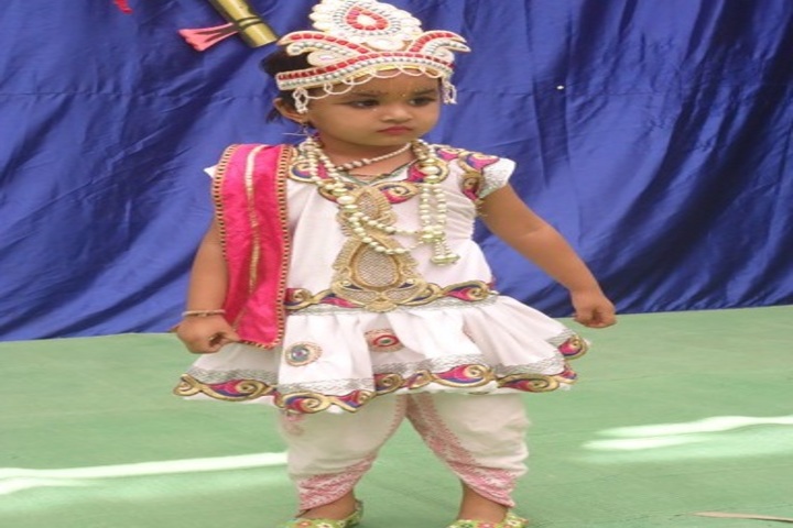 Prof Santosh Mittal Higher Secondary School-Others