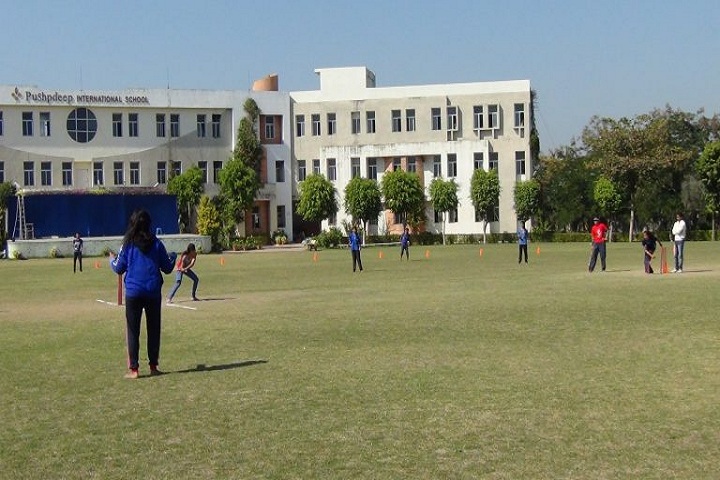 Pushpdeep International School-Play Ground