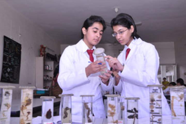 Queens College-Lab