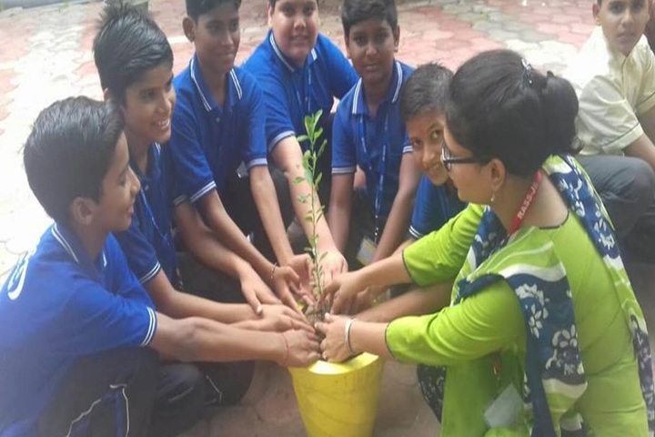 Rass Jb Public School-Tree Plantation