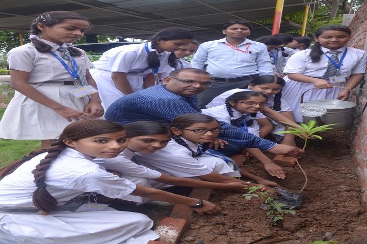 Rass Jb Public School-Tree Plantation