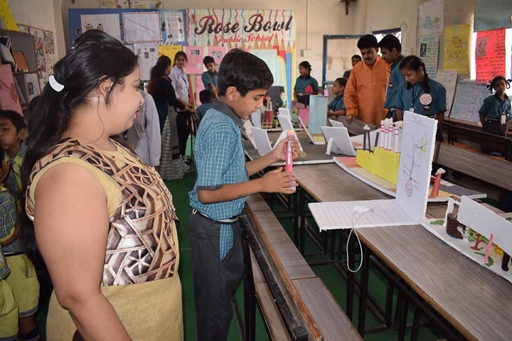 Rose Bowl Public School-Science Fair