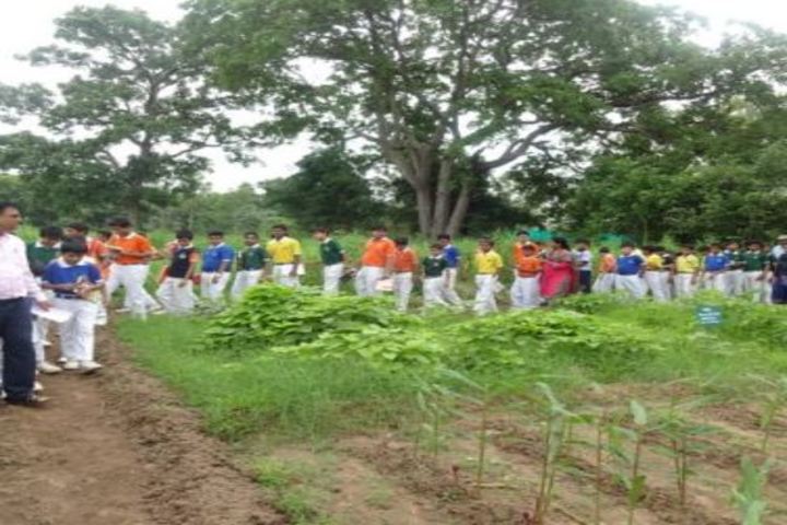 Sant Sri Asaramji Gurukul Higher Secondary School-Feild Trip