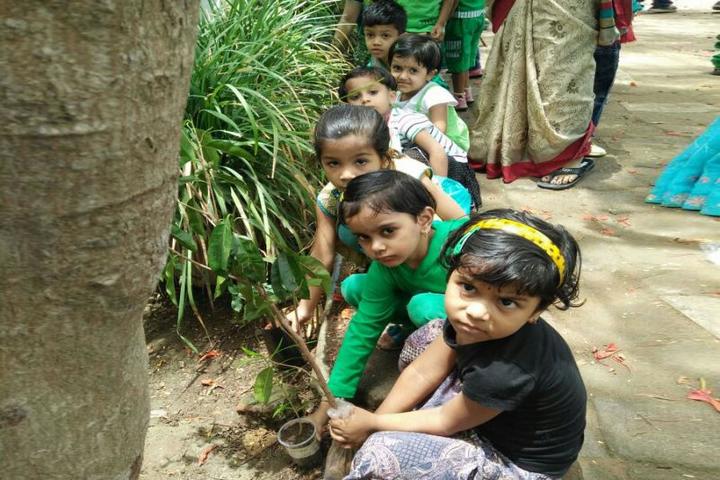 Scholars Den Higher Secondary School-Plantation