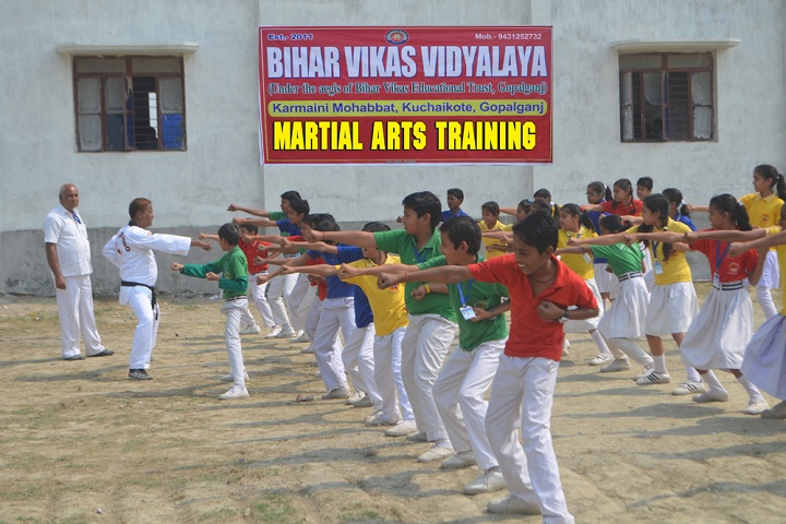 Bihar Vikas Vidyalaya-Karate