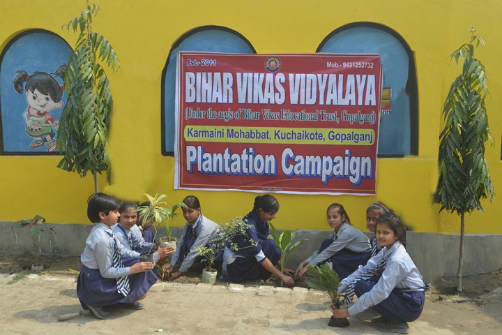 Bihar Vikas Vidyalaya-Plantation Trees