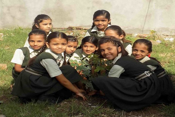 Shree Bhartiya Sanskriti Shiksha Sansthan-Plantation