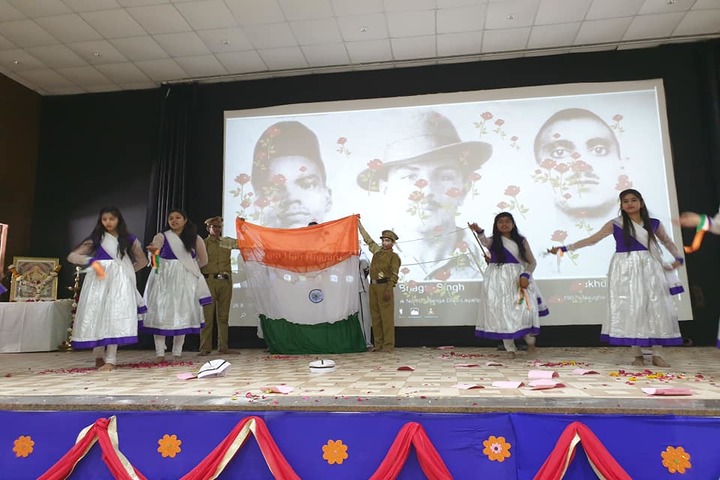 Shree Dalauda Public School-Celebrations