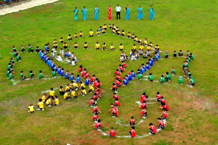Shri Ganesh Senior Secondary School-Activity