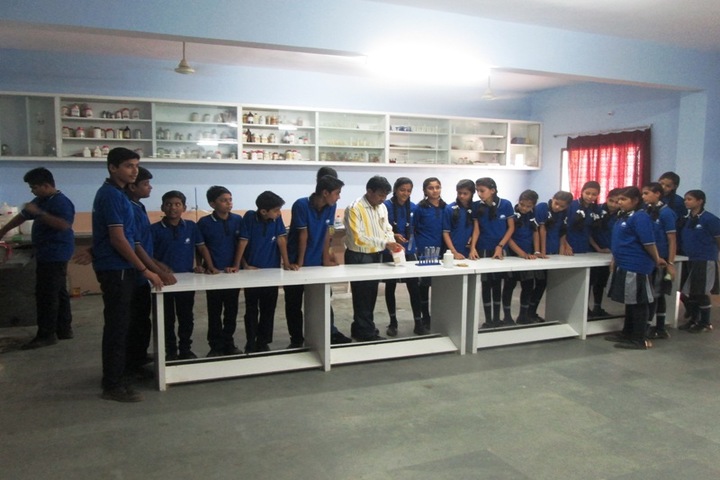 Shri Vinayakam School-Chemistry Lab
