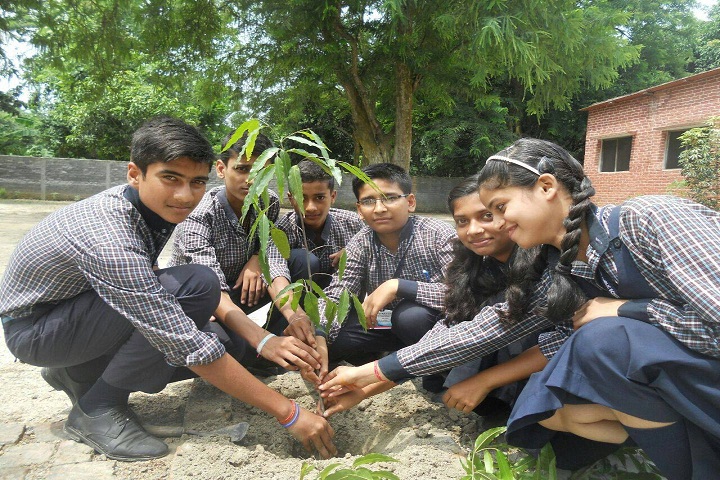 Blue Sky Public School-Others plantation