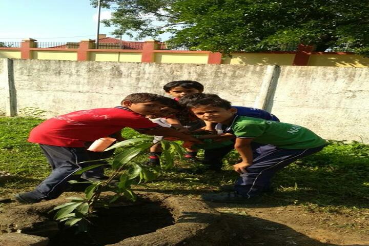 South East Central Railway Mixed Higher Secondary School-Plant A Tree Program