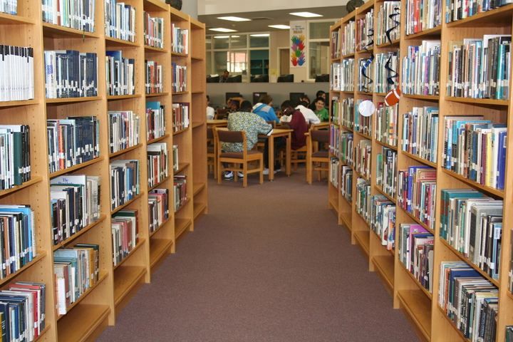 Spring Valley Public School-Library
