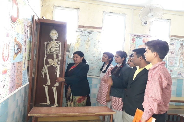 St Annes Higher Secondary School-Biology Lab