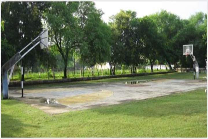 St Joseph Convent Senior Secondary School-Basket ball