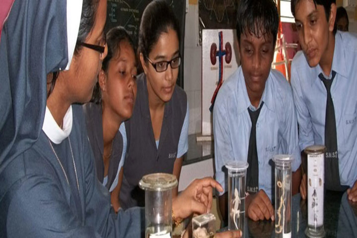 St Marys English Medium School-Biology Lab