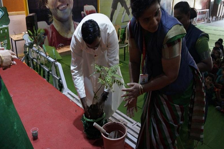 St Vincent Pallotti School-Others plantation