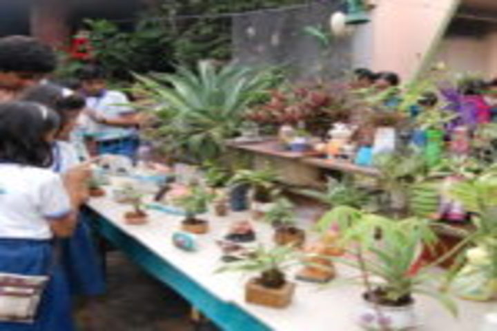 Vidyakunj International School-Field trip