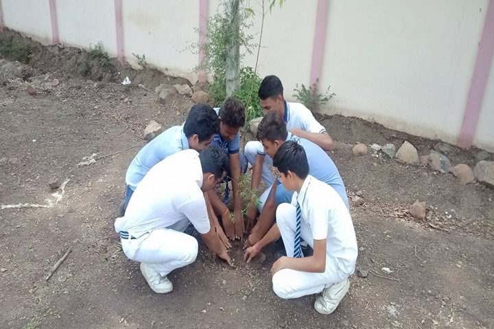 Vivekanand Vidya Vihar-Plantation
