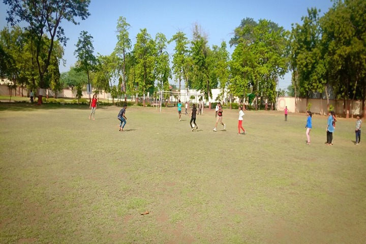 Vivekanand Vidya Vihar-PlayGround