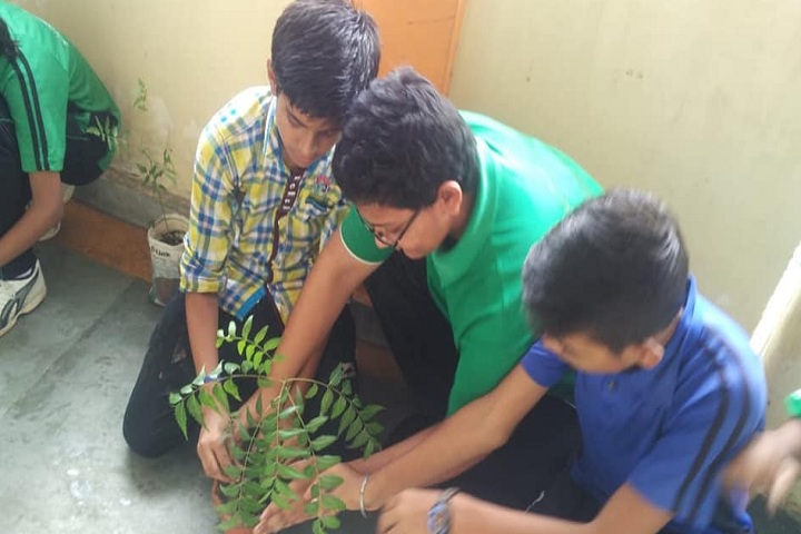Adarsh Sanskar Vidyalaya-Others plantation