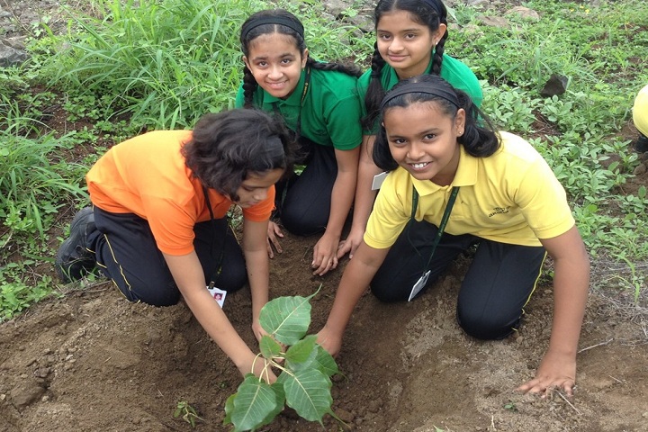 Akshara International School-Others plantation