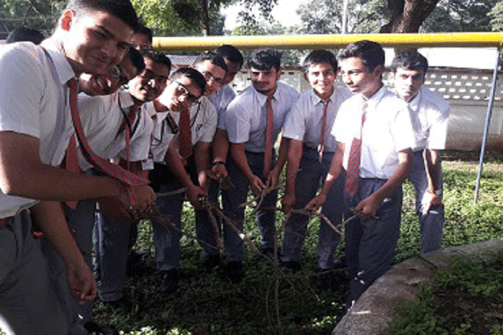 Army Public School-Plantations