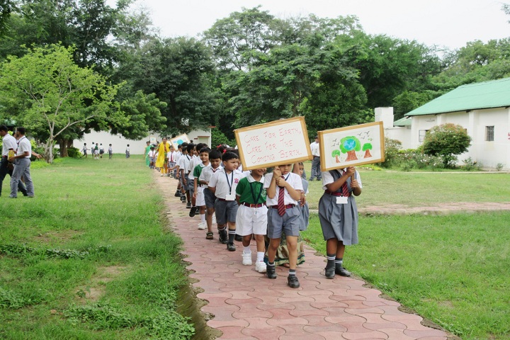 Army Public School-Green Day
