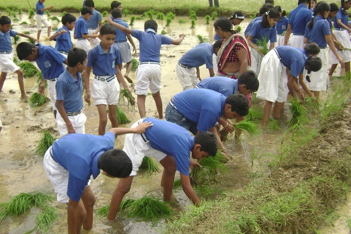 Asim Saraf Central Academy-Activity