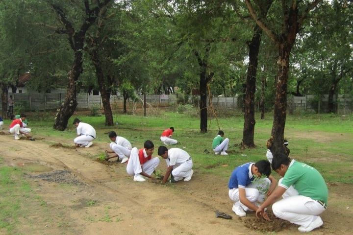 Ballarpur Public School-Tree Plantation