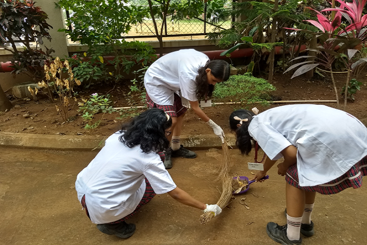 Dav International School-Swachha Bharat