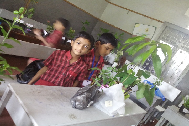 David English Medium School-Save Tree