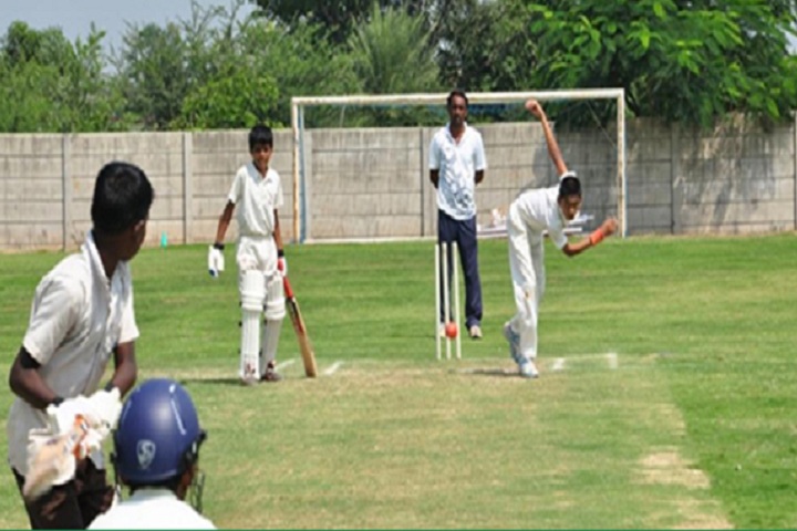 Delhi Public School-Cricket