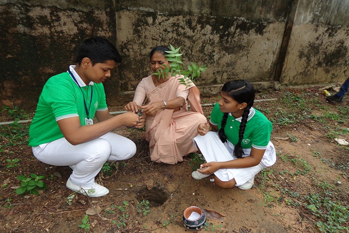 Dilsagram Convent English Medium School-Tree Plantation