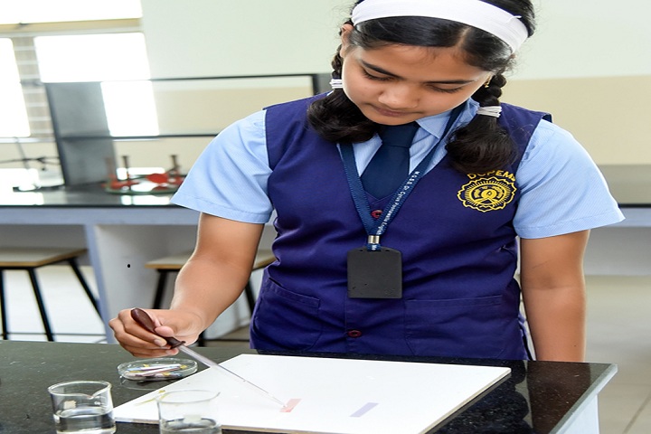 Dr Cyrus Poonawalla English Medium School-Chemical-Lab